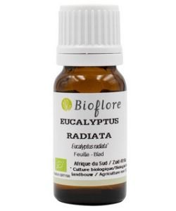 Eucalyptus radié (Eucalyptus radiata) BIO, 10 ml